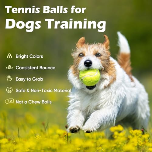 Treeroot 16/30/40/60 Pcs Tennis Balls, High Elasticity Tennis Balls Bulk, Comes with a Portable Mesh Bag, Tennis Ball for Dogs, Suitable for Beginner Training Ball, Durable & Bounce