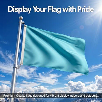 DMSE Solid Light Blue Flag, 2x3 Flag, UV Resistant, Fade Resistant Material with Metal Grommets (2ft x 3ft), (Polyester), (Light Blue) - color: Light Blue, size: Polyester (2 x 3 ft)