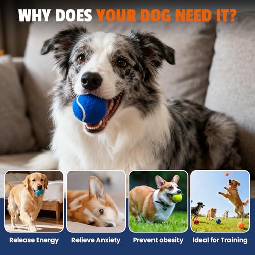 FURWEY Tennis Balls for Dogs 80 Pack,2.5 inches,Durable and Non-Toxic Dog Toys Balls with Mesh Bag,Colorful Fetch Toys Balls for pet Dog (Non Squeaky)