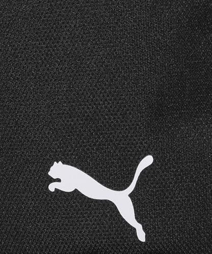 PUMA teamGOAL Shoe Bag