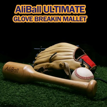 AliBall Baseball Glove Break-in & Care Kit, 8.5 fl oz Glove Oil, 8.5 fl oz Cleaner & 3.52 oz Conditioner, Mallet, Wrap, 2 Brushes & Cloth for Baseball/Softball Mitts - style: Ultimate Luxury Kit