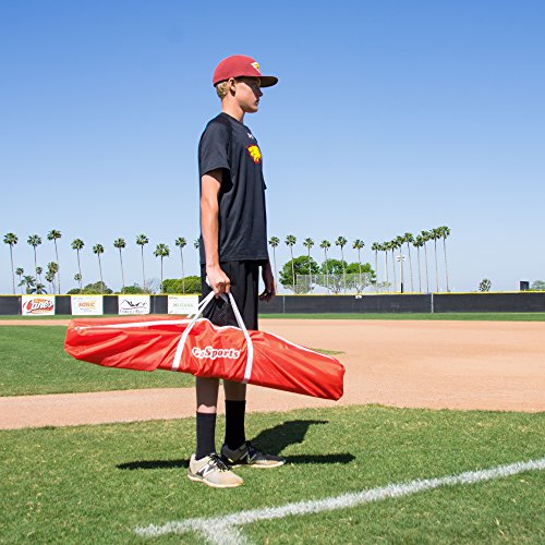 GoSports 5 ft x 5 ft Baseball & Softball Practice Hitting & Pitching Net with Bow Type Frame, Carry Bag and Strike Zone, Great for All Skill Levels
