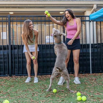 Durable High Elastic Tennis Balls Advanced Training Balls Thickened Balls with Mesh Bag for Transport Beginner Exercise Ball