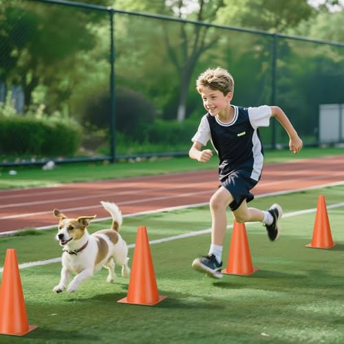12 Inch Durable Cones,12pcs Versatile Plastic Traffic Cones and Soccer Cones for Sports Training,Agility Drills,Parking Safety,Basketball Training,Football Training. - color: orange