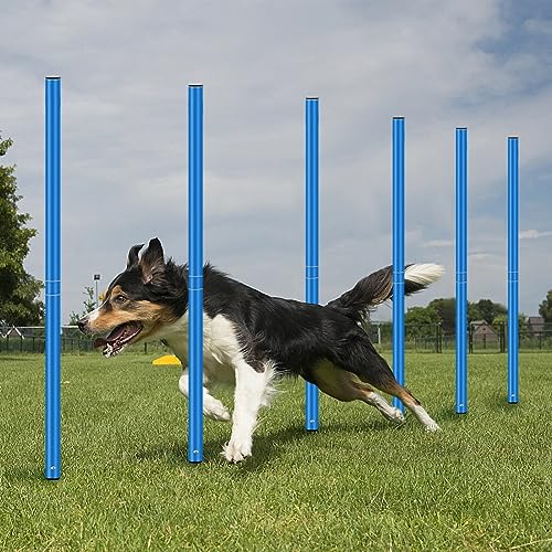 Agility Training Poles Equipment Soccer Training Equipment Includes 6 Agility Poles,Agility Ladder, 10 Soccer Cones,Jump Rope for Speed Training, Soccer Training, Basketball Athletes & Kids - color: Blue
