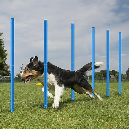 Agility Training Poles Equipment Soccer Training Equipment Includes 6 Agility Poles,Agility Ladder, 10 Soccer Cones,Jump Rope for Speed Training, Soccer Training, Basketball Athletes & Kids - color: Blue
