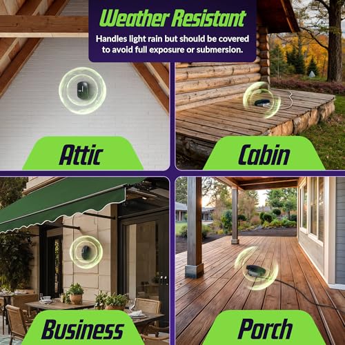 BWZ600 Direct Ultrasonic Bat Repeller - Featuring Bat-ZoneZonic™ Frequency Control for Precise Repelling of Bats (Midnight Black)