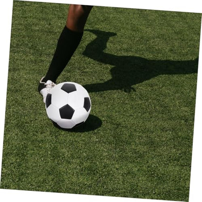 FUOYLOO Size 5 Training Soccer Ball Pu Machine Stitched Sturdy Outdoor Football for Boys Youth Practice and Match Use