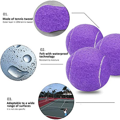 URBEST Tennis Ball, 10PCS Training Tennis Balls, Comes with a Net Bag for Easy Carrying, Beginner Training Tennis Balls, Pet Dog Exercise Ball - color: Purple