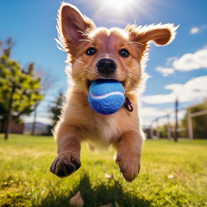 24 Pack Tennis Balls, Training Tennis Balls, Pet Dog Playing Balls, Practice Tennis Balls with Mesh Bag for Transport and Beginner Training - color: Blue-24Pack