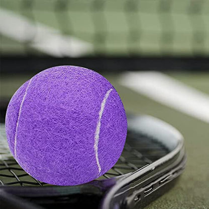 URBEST Tennis Ball 12 Packs Training Tennis Balls Practice Balls for Novice Player, Pet Dog Playing Balls with Mesh Carry Bag - color: Purple