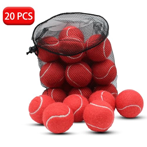 SHYUJAJIE Tennis Balls, 20 Pack Training Tennis Balls,High Elasticity Practice Tennis for Beginner, Exercise Playing Balls for Pet Dog - color: Red