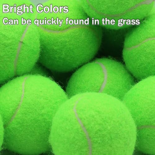 SHYUJAJIE Tennis Balls, 20 Pack Training Tennis Balls,High Elasticity Practice Tennis for Beginner, Exercise Playing Balls for Pet Dog - color: Light Green