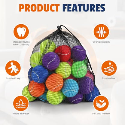 FURWEY Tennis Balls for Dogs 32 Pack,2.5 inches,Durable and Non-Toxic Dog Toys Balls with Mesh Bag,Colorful Fetch Toys Balls for pet Dog (Non Squeaky)