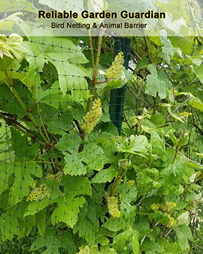 KLEWEE Bird Netting, 13 x 33 FT Heavy Duty Garden Netting Fine Mesh for Protect Fruit Trees, Plants and Vegetables from Birds, Deer, Squirrels and Other Animals - size: 13 x 33 FT