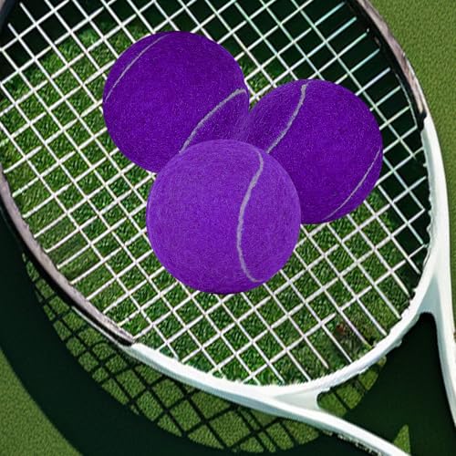 30/40 Pack Training Tennis Balls, Pet Dog Playing Balls, Practice Tennis Balls with Mesh Bag for Transport and Beginner Training - color: Purple-30Pack