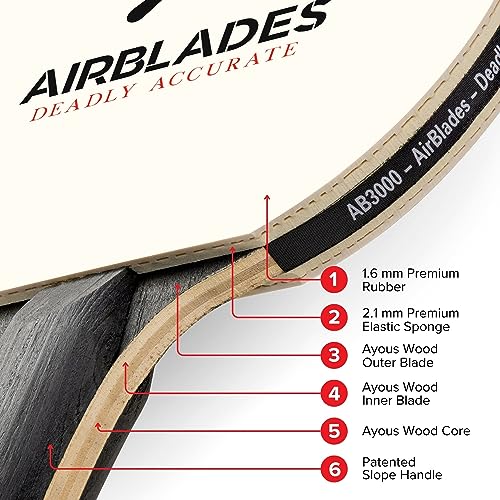 Professional Ping Pong Paddle with Hard Carry Case | Pro Table Tennis Racket | Table Tennis Paddle with Ergonomic Handle | 5 Blades of Wood with Premium Rubber and Sponge by AirBlades | Hard Carry Case