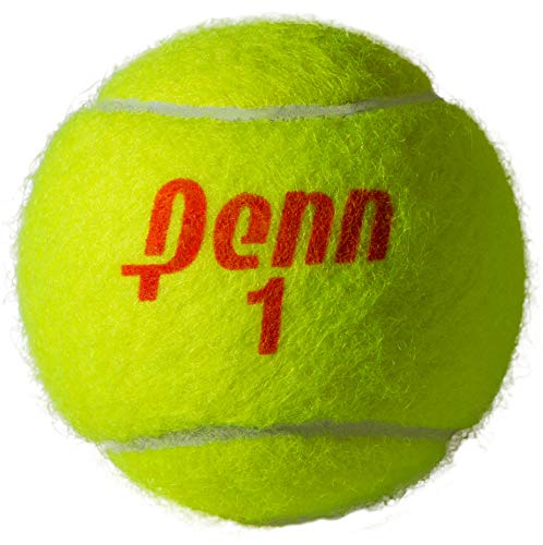 Penn Championship Tennis Balls - Regular Duty
