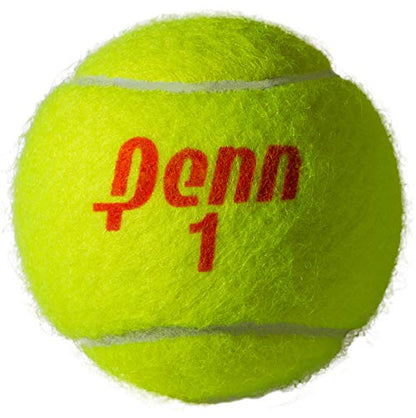Penn Championship Tennis Balls - Regular Duty