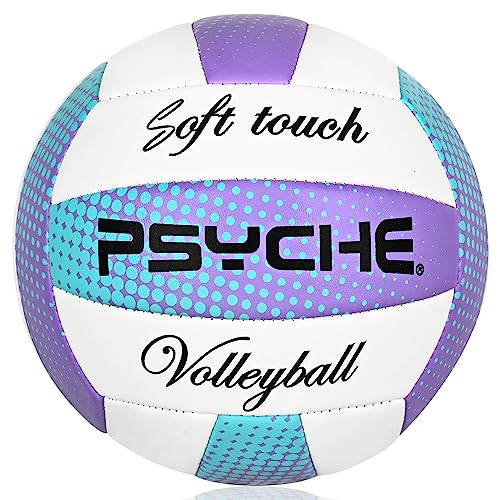 Wisdom Leaves Volleyball,Soft Volleyball Ball for Indoor Outdoor Beach Park Games Play and Training (Official Size 5) - color: white/blu/purple