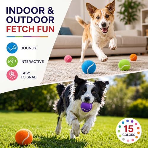 Yunsailing 30 Pcs Dog Tennis Balls 2.4 Inch Dogs Toy Balls Bright Colors Pet Training Toy for Small Medium Large Puppy Indoor Outdoor Interactive Training Exercise Games