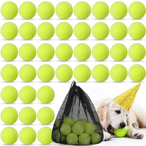 Lenwen 50 Pack Dog Tennis Balls Pet Training Tennis Balls 2.5 Inch Rubber Interactive Dog Pet Practice Playing Toys with Mesh Bag for Beginners Training,Play,Exercise