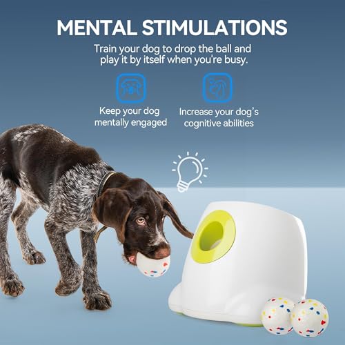 ALL FOR PAWS Automatic Dog Ball Launcher with 2.5in EPTU Balls, Ball Thrower for Medium to Large Dogs, Interactive Dog Fetch Toy for Mental & Physical Exercise - size: Max Size-EPTU Balls