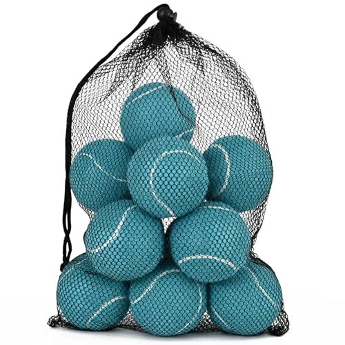 INSUM Bulk Tennis Balls for Beginner – 12 Pack High Elasticity Practice Tennis Balls with Mesh Bag, Suit for Pet Dog Training, Fetching - color: Dark Blue-N