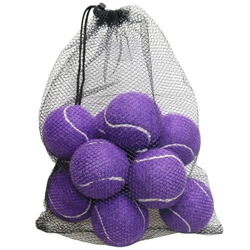 URBEST Tennis Ball, 10PCS Training Tennis Balls, Comes with a Net Bag for Easy Carrying, Beginner Training Tennis Balls, Pet Dog Exercise Ball - color: Purple