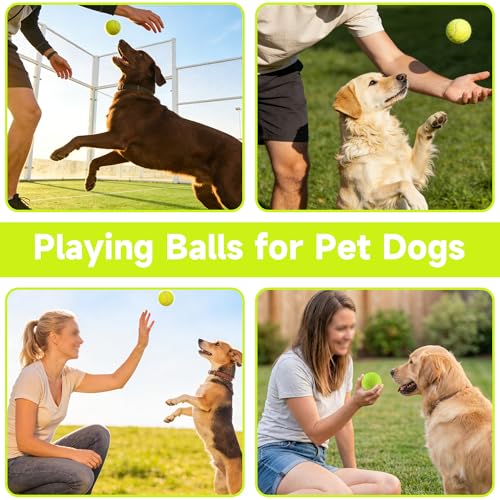 Tennis Balls, 4 Pack Training Tennis Balls – Practice Balls for Beginners & Playing Balls for Dogs - color: Yellow