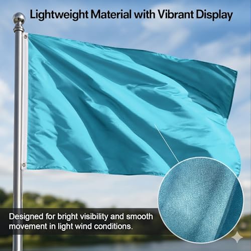 DMSE Solid Light Blue Flag, 3x5 Flag, UV Resistant, Fade Resistant Material with Metal Grommets (3ft x 5ft), (Polyester), (Light Blue) - color: Light Blue, size: Polyester (3 x 5 ft)