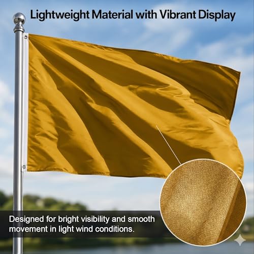 DMSE Solid Gold Flag, 2x3 Flag, UV Resistant, Fade Resistant Material with Metal Grommets (2ft x 3ft), (Nylon), (Gold) - color: Gold, size: Nylon (2 x 3 ft)
