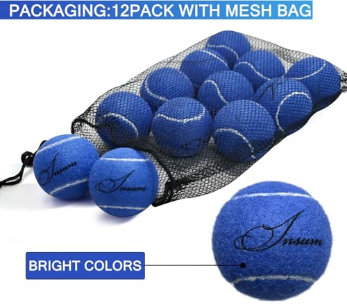 INSUM Bulk Tennis Balls for Beginner – 12 Pack High Elasticity Practice Tennis Balls with Mesh Bag, Suit for Pet Dog Training, Fetching - color: Blue
