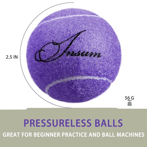 INSUM Bulk Tennis Balls for Beginner – 12 Pack High Elasticity Practice Tennis Balls with Mesh Bag, Suit for Pet Dog Training, Fetching - color: Purple