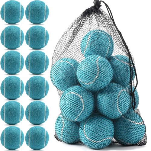 INSUM Bulk Tennis Balls for Beginner – 12 Pack High Elasticity Practice Tennis Balls with Mesh Bag, Suit for Pet Dog Training, Fetching - color: Light Blue-N