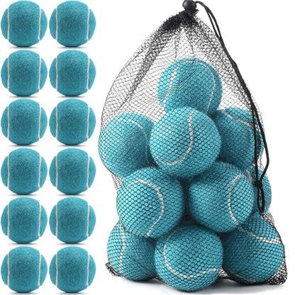 INSUM Bulk Tennis Balls for Beginner – 12 Pack High Elasticity Practice Tennis Balls with Mesh Bag, Suit for Pet Dog Training, Fetching - color: Light Blue-N