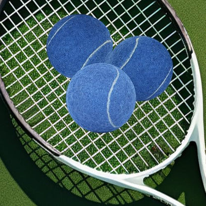 24 Pack Tennis Balls, Training Tennis Balls, Pet Dog Playing Balls, Practice Tennis Balls with Mesh Bag for Transport and Beginner Training - color: Blue-24Pack