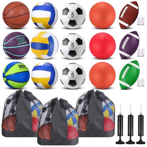 Leyndo 18 Pcs Sport Balls Bulk Set Basketball Football Volleyball Soccer Playground Baseball with Sport Equipment Bag Pump for Adults Gifts Outdoor Indoor