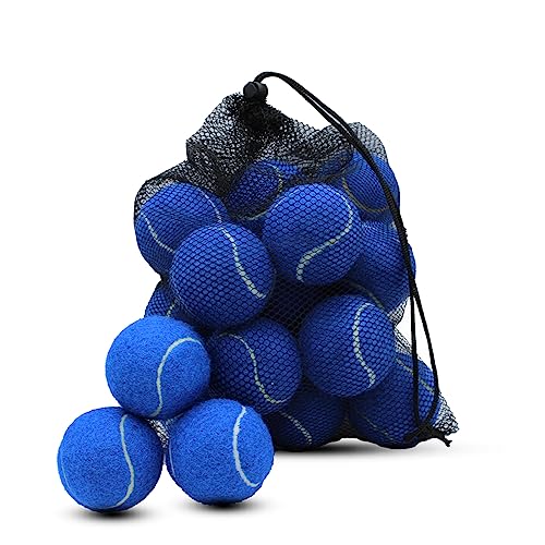 Swingers Tennis Balls,Training Exercise Balls for Pet Dog, High Elasticity Practice Tennis Balls for Beginner, with Mesh Carry Bag Easy to Transport - color: Dark Blue, size: 20 PACK