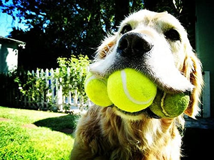 Tennis Balls, 15 Pack Practice Tennis Ball for Beginners, Training Playing Tennis Balls for Dogs, Come with Mesh Carry Bag - color: Orange