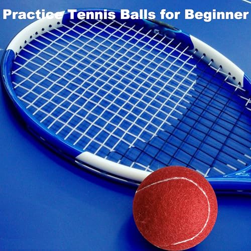6 Pack Practice Tennis Balls - Long Lasting for Tennis Beginners, Tennis Training Balls, Dog Fetch Toys