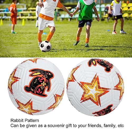 Soccer Match Ball Size 5,Soccer Ball Size 5 High Elasticity Professional Rabbit Pattern Training Football for Matches Exams