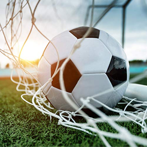 Greensen Youth Soccer Goal Set Sports Soccer Goal Set Sports Soccer Goal Net, Football Replacement Goal Post Netting Full Size for Lacrosse and Soccer - size: 12X6FT