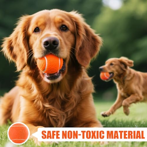 PHOEPET 6-Pack Tennis Balls for Dogs, Bulk Rubber Ball for Fetch Chew Toys Beginner Training Practice(Orange)