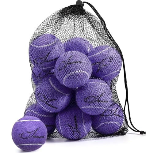 INSUM Bulk Tennis Balls for Beginner – 12 Pack High Elasticity Practice Tennis Balls with Mesh Bag, Suit for Pet Dog Training, Fetching - color: Purple