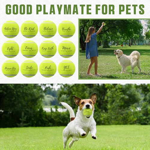 Soulchen 48 Pack Pressureless Tennis Balls Inspirational Training Tennis Balls Bulk Coach Beginner Practice Supplies Pet Dog Toys Indoor Outdoor