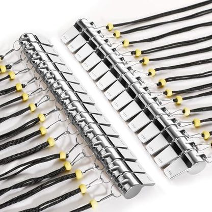 SANNIX 28 Pack Whistle, Coach Whistle with Lanyard Sports Whistles Loud Crisp Sound Whistle for Coaches Referees Training Gyms Emergency - color: Silver