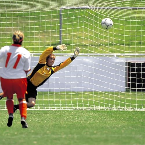 Aoneky Soccer Goal Net - 24 x 8 Ft - Full Size Football Goal Post Netting - NOT Include Posts - size: 24 x 8 ft - 0.08 in Cord