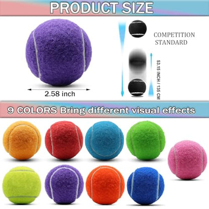 SHYUJAJIE Tennis Balls, 20 Pack Training Tennis Balls,High Elasticity Practice Tennis for Beginner, Exercise Playing Balls for Pet Dog - color: Purple