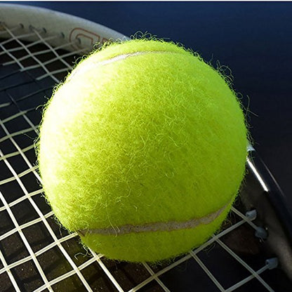 Practice Tennis Balls, Standard Training Exercise Tennis Balls, Rubber Balls for Beginners, Pack of 15